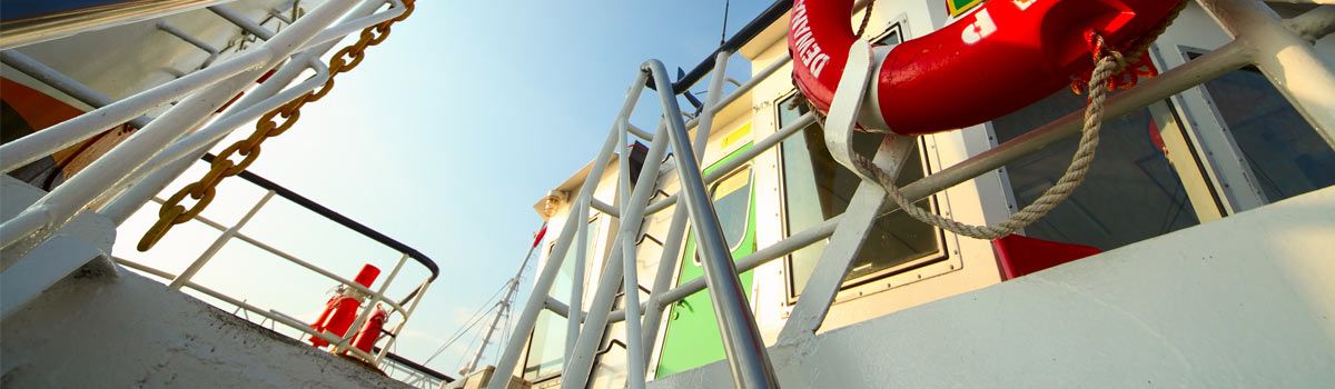 RVS scharnieren boot