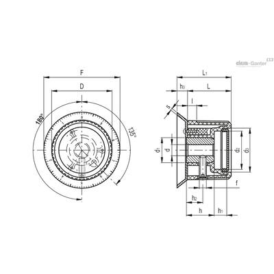 IZN.381+FGS