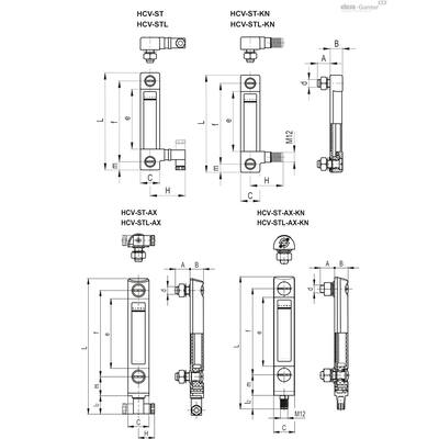 HCV-S