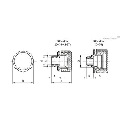 SFN+F-N
