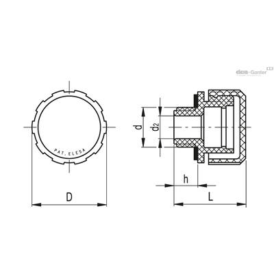 SFN-N
