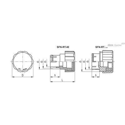 SFN-RT