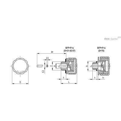 SFP+F+a-N