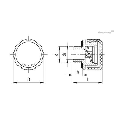 SFP-N
