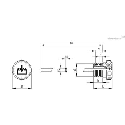 TP-C+a