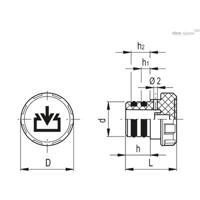 TP-CF
