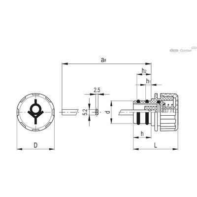 TP-SV-10mb+a